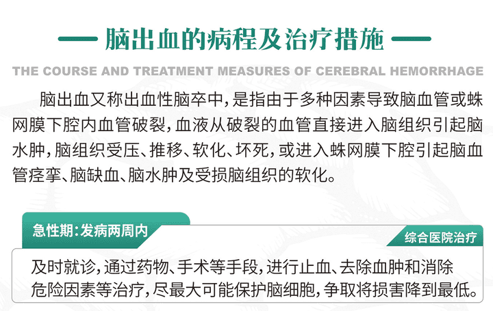 脑出血_02_01.png